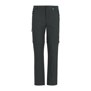 Regatta Mens Lightweight Insect Repellent Travel Cargo Pants / Ash